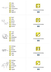 Wuerfelkarten Zoo 7.pdf